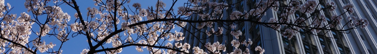 NSK中国官网Banner