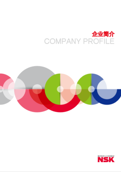 NSK集团简介
