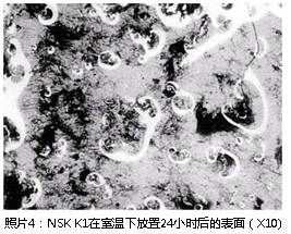 照片4：NSK K1在室温下放置24小时后的表面（X10）