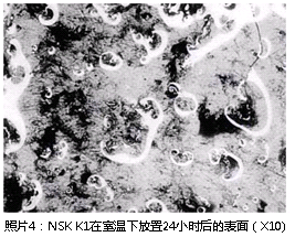 照片4:NSK K1在室温下放置24小时后的表面(X10)