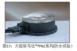 图17 大扭矩马达TMPNZ系列(防水试验）